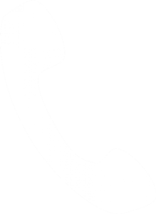 toppng.com phone icon vector white 419x574